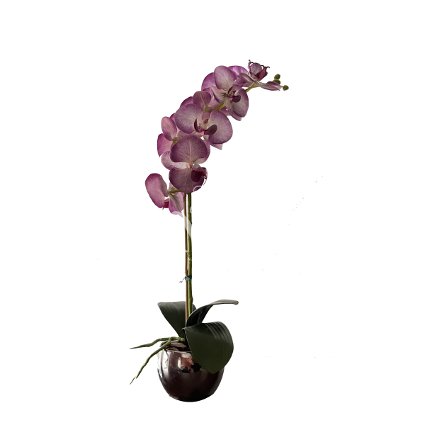 Dirbtinė orchidėja Amarantė 55cm