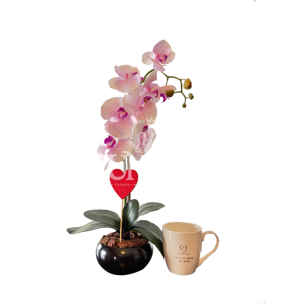 Dirbtinė orchidėja Simona 55cm + puodukas