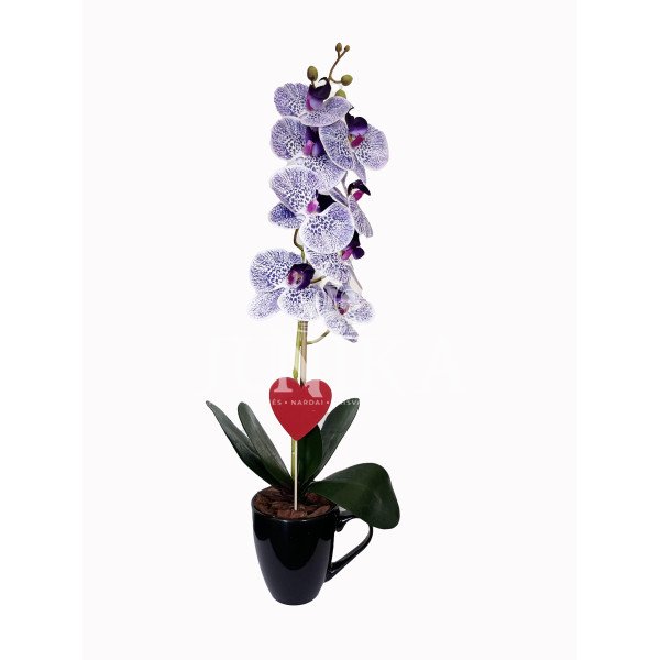 Dirbtinė orchidėja Taškuota 50cm