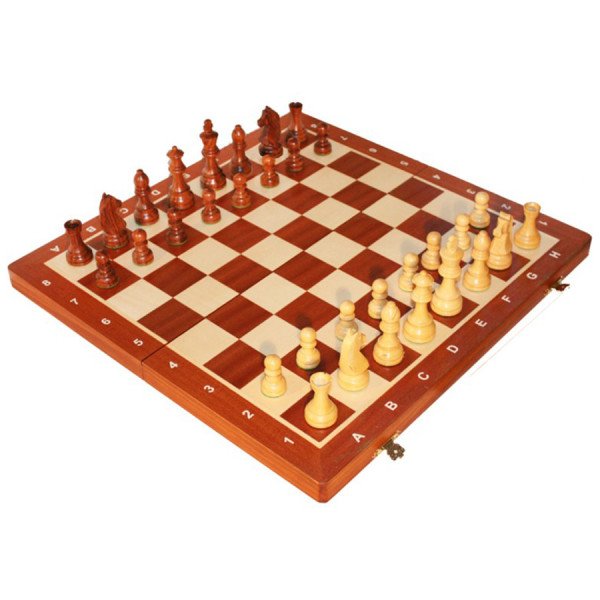 Турнир по шахматам Staunton FIDE № 7