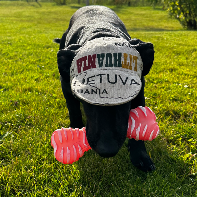 Hat for dogs