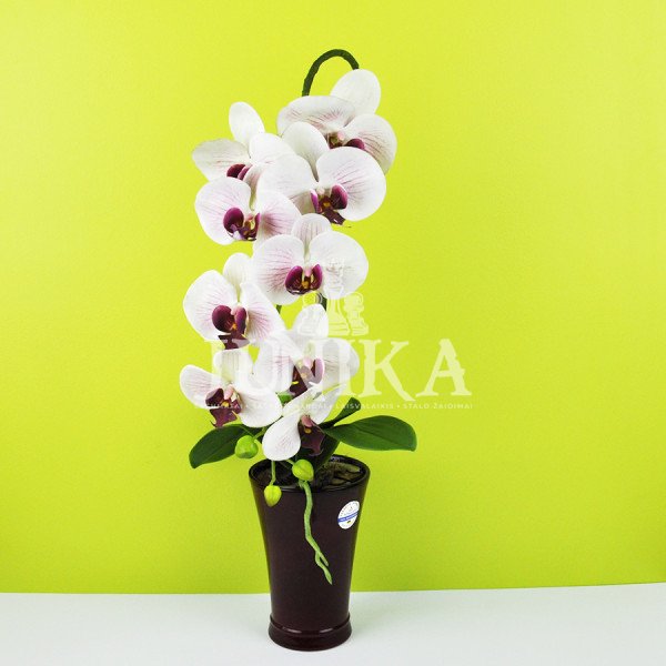 Dirbtinė orchidėja Dana 65cm