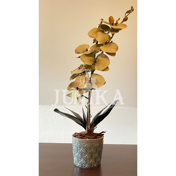 Dirbtinė orchidėja Plaštakė 55cm